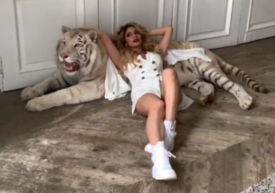 Марешка, която и да е тя, се щракна с бял тигър