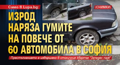 Само в Lupa.bg: Изрод наряза гумите на повече от 60 автомобила в София (СНИМКИ)