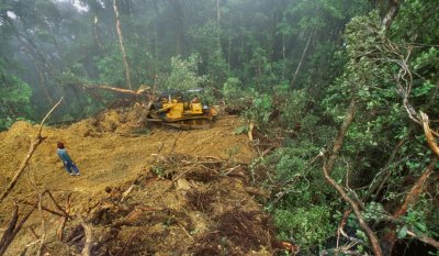 Обезлесяването на Амазония е достигнало най-високо ниво за 12 г.