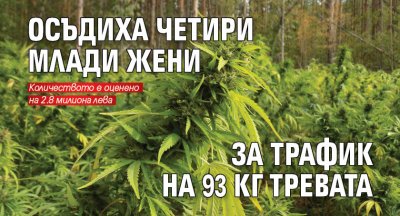 Осъдиха четири млади жени за трафик на 93 кг дрога