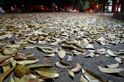 Мрачна събота, но с приемлива температура 