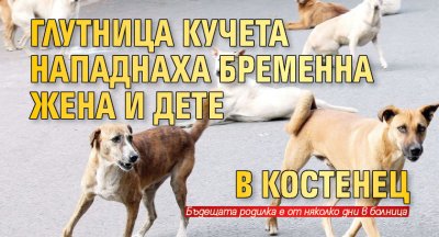 Глутница кучета нападнаха бременна жена и дете в Костенец 