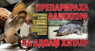 Препарираха алигатора на Адолф Хитлер