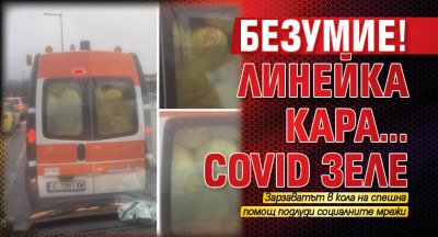 Безумие! Линейка кара... Covid зеле