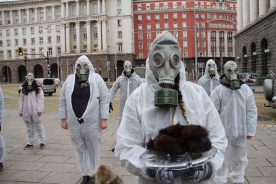 10 човека протестират пред МС срещу норките