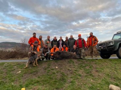 Авджия уби огромен звяр в Родопите, ще го наградят с медал