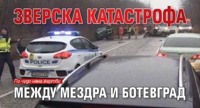 Зверска катастрофа между Мездра и Ботевград