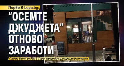 Първо в Lupa.bg: "Осемте джуджета" отново заработи