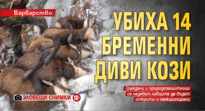 Варварство: Убиха 14 бременни диви кози (Зловещи снимки 18+)