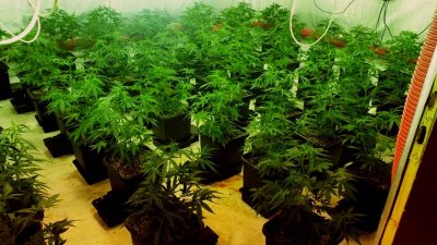 29-годишна се размина условно за продажба на дрога