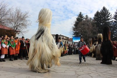 Вирусът уби и Сурва