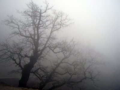 Денят започва с облаци и мъгли