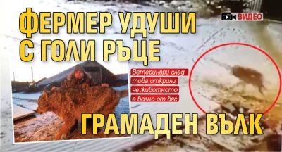 Фермер удуши с голи ръце грамаден вълк