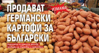 Измама: Продават германски картофи за български