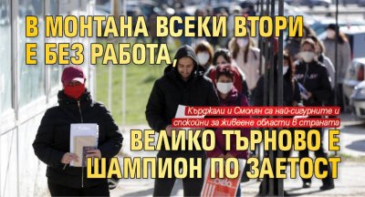 В Монтана всеки втори е без работа, Велико Търново е шампион по заетост