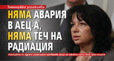 Теменужка успокоява: Няма авария в АЕЦ-а, няма теч на радиация