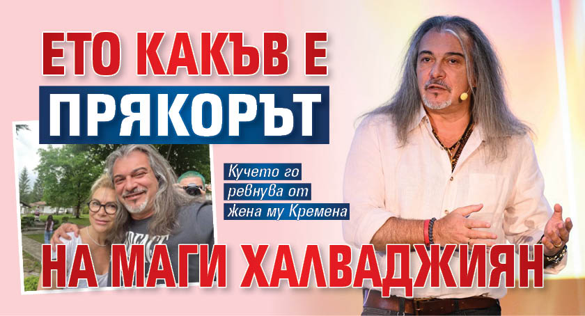 Eто какъв е прякорът на Маги Халваджиян