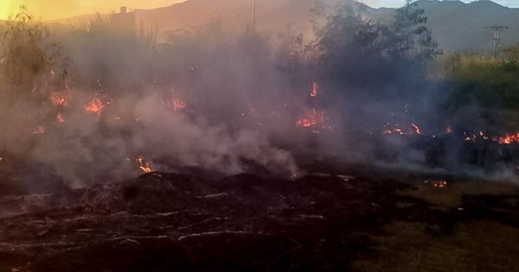 Смелчага спаси село и гора от пожар
