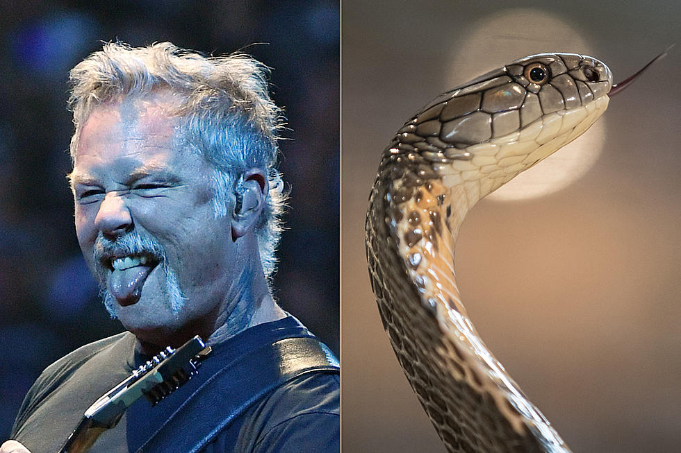 Кръстиха отровна змия на Джеймс Хетфийлд от Metallica