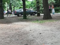 снимка 3 Скандал в Lupa.bg: Дипломатически коли орат тревните площи в Борисовата градина (СНИМКИ)