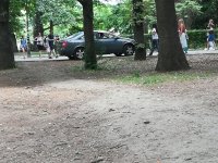 снимка 1 Скандал в Lupa.bg: Дипломатически коли орат тревните площи в Борисовата градина (СНИМКИ)