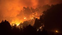 снимка 1 Огромен пожар евакуира хиляди на Канарите (СНИМКИ)