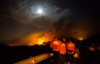 снимка 2 Огромен пожар евакуира хиляди на Канарите (СНИМКИ)