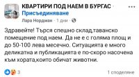 снимка 8 ВНИМАНИЕ! Пазете се от тази мошеничка (Снимки)