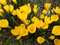 Южен вятър вдига температурите до 20 градуса