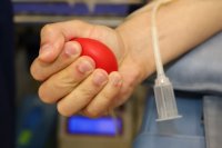 Вече може да се запазва час онлайн за кръводаряване