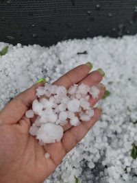 Жестока градушка удари района на Лясковец (СНИМКИ)