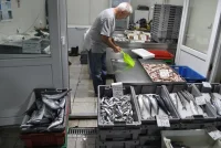 Дребна циганка напълни морето в Бургас