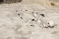 снимка 5 Скелет на 7000 години лъсна в София (ГАЛЕРИЯ)