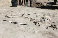 снимка 8 Скелет на 7000 години лъсна в София (ГАЛЕРИЯ)