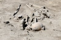 снимка 4 Скелет на 7000 години лъсна в София (ГАЛЕРИЯ)